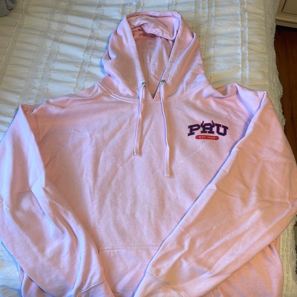 Party Animal University Sweaters - Bryce Hall PAU Sweatshirt